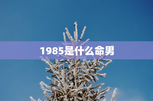1985是什么命男