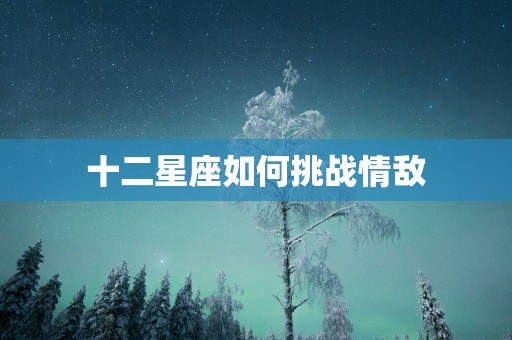 十二星座如何挑战情敌
