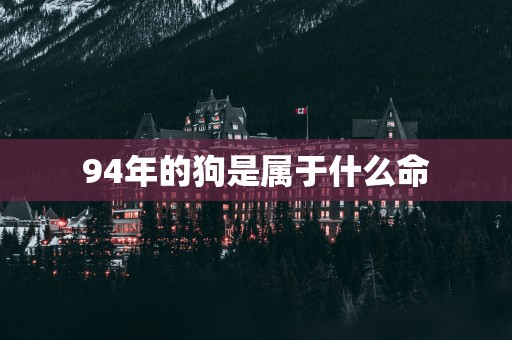 94年的狗是属于什么命