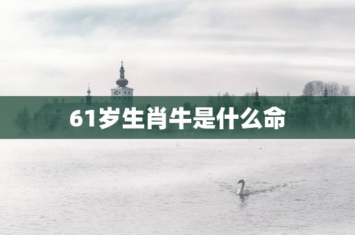 61岁生肖牛是什么命