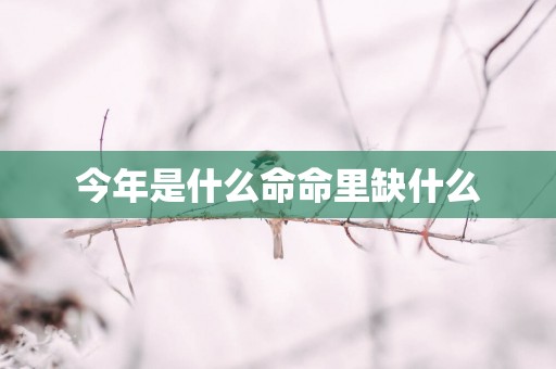 今年是什么命命里缺什么