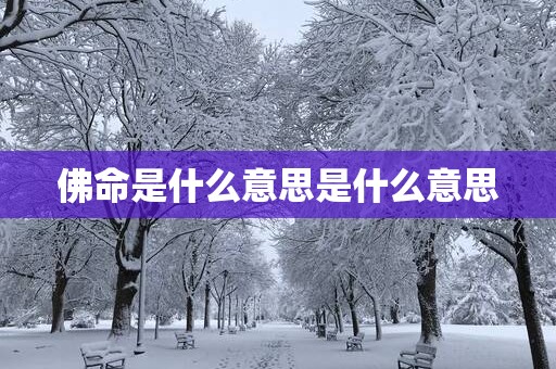 佛命是什么意思是什么意思