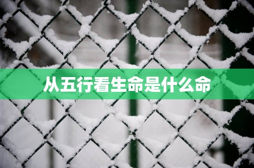 从五行看生命是什么命