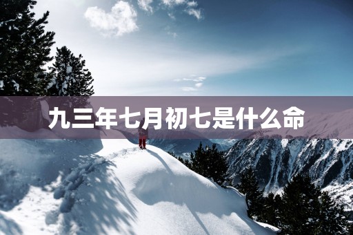 九三年七月初七是什么命