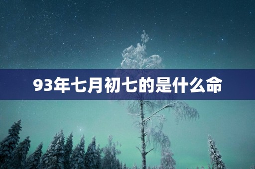 93年七月初七的是什么命