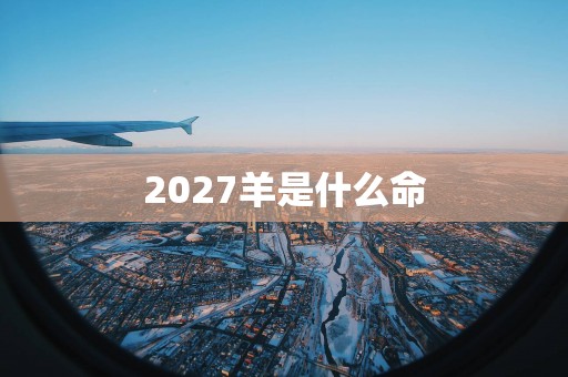 2027羊是什么命