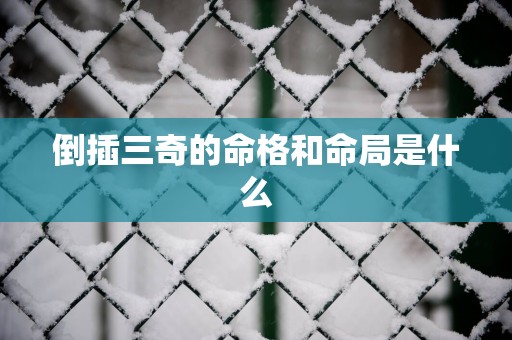 倒插三奇的命格和命局是什么