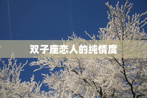 双子座恋人的纯情度