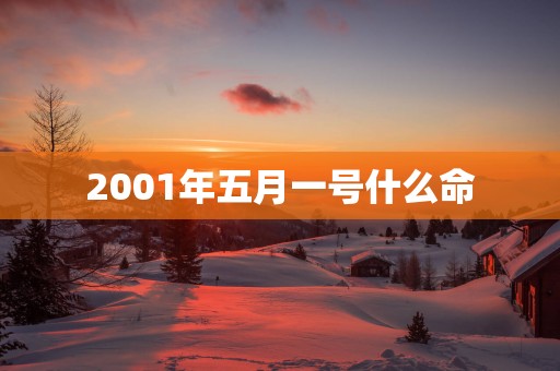 2001年五月一号什么命