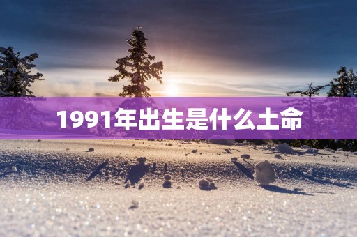 1991年出生是什么土命