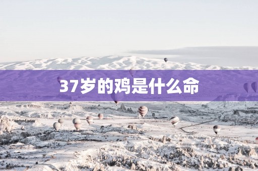 37岁的鸡是什么命