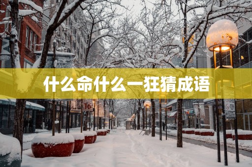 什么命什么一狂猜成语