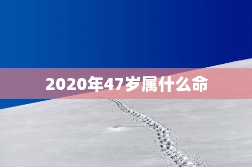 2025年47岁属什么命