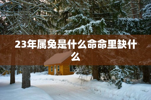 23年属兔是什么命命里缺什么