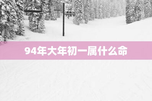94年大年初一属什么命