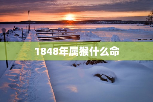 1848年属猴什么命