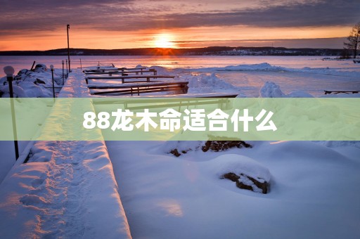 88龙木命适合什么