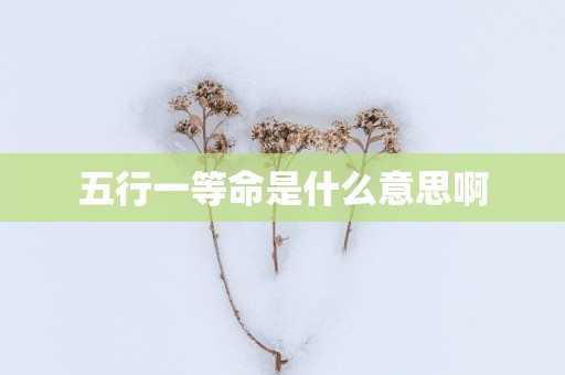 五行一等命是什么意思啊