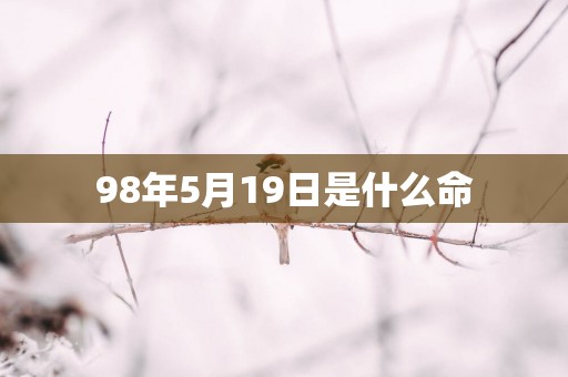 98年5月19日是什么命