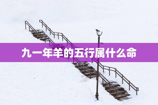 九一年羊的五行属什么命