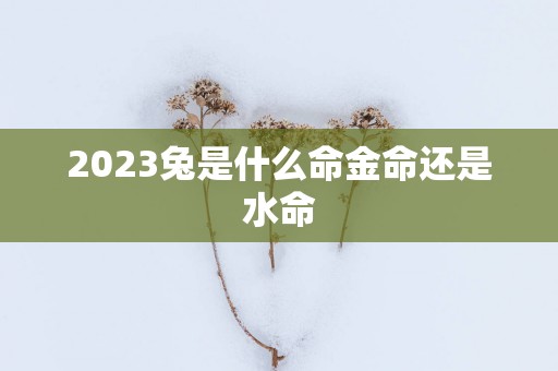 2025兔是什么命金命还是水命