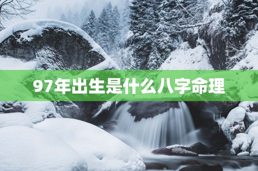 97年出生是什么八字命理