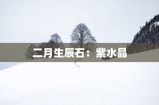 二月生辰石：紫水晶