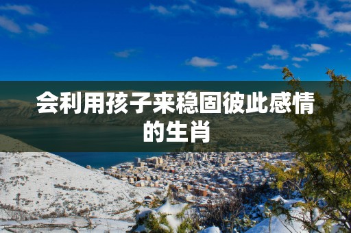 会利用孩子来稳固彼此感情的生肖