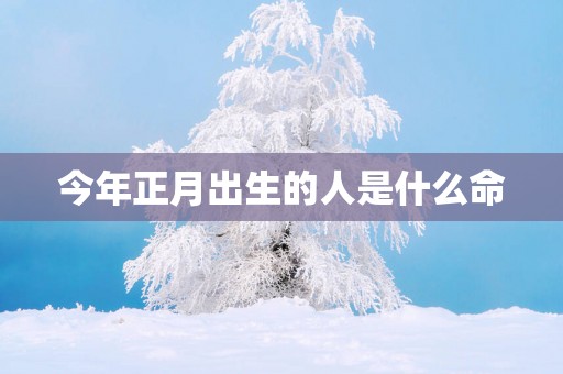 今年正月出生的人是什么命