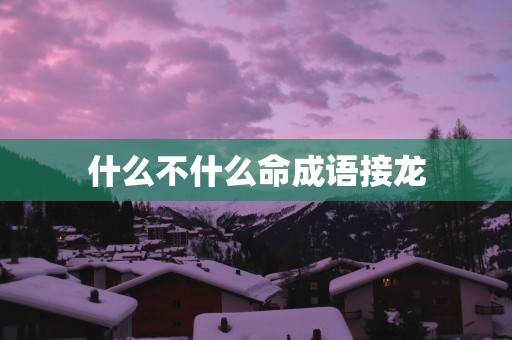什么不什么命成语接龙