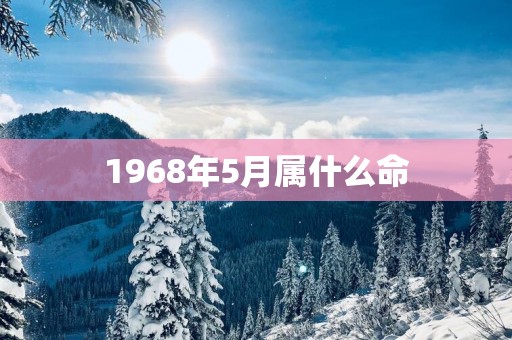 1968年5月属什么命