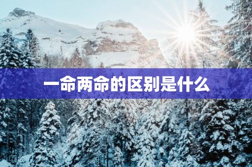 一命两命的区别是什么