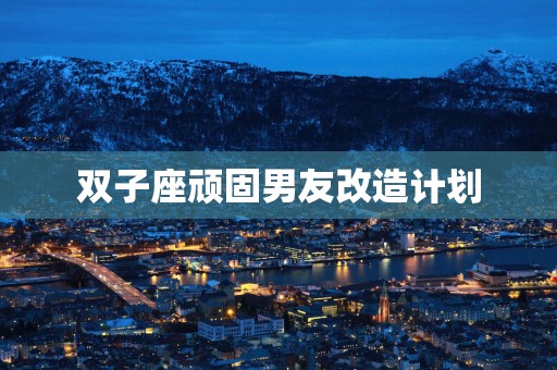 双子座顽固男友改造计划