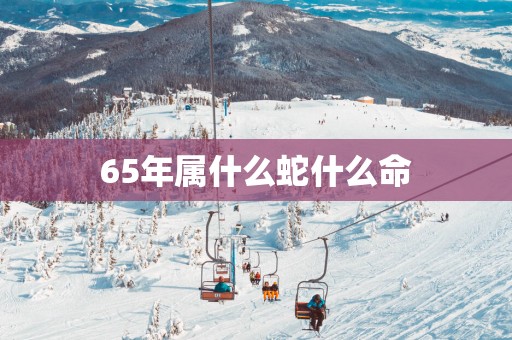 65年属什么蛇什么命