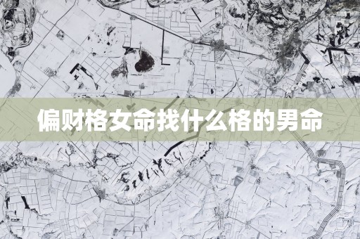 偏财格女命找什么格的男命