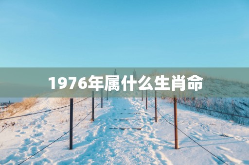1976年属什么生肖命