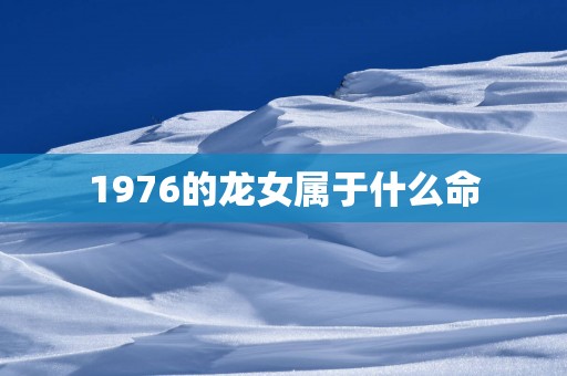 1976的龙女属于什么命