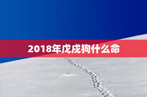 2018年戊戌狗什么命