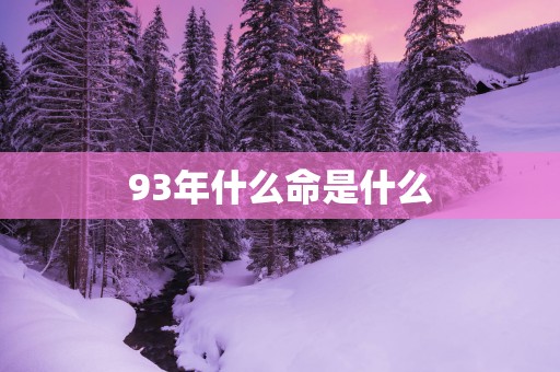 93年什么命是什么