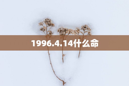 1996.4.14什么命