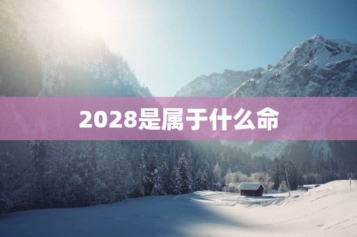 2028是属于什么命