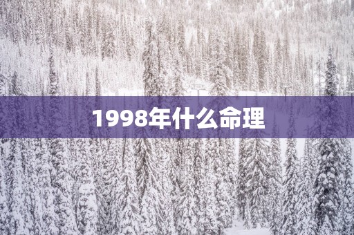 1998年什么命理