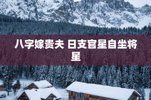 八字嫁贵夫 日支官星自坐将星