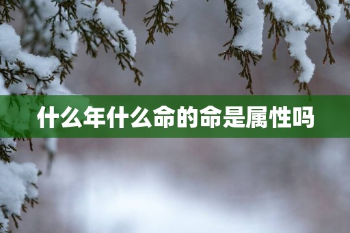 什么年什么命的命是属性吗