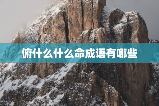 俯什么什么命成语有哪些