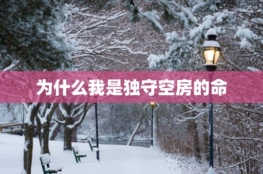 为什么我是独守空房的命