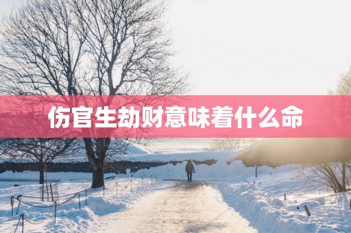 伤官生劫财意味着什么命
