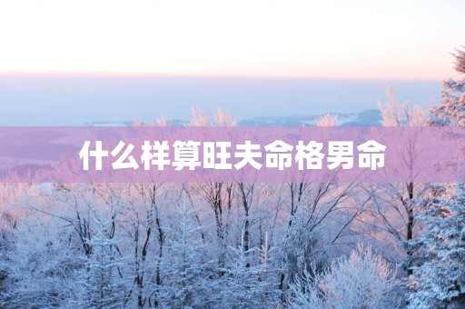 什么样算旺夫命格男命
