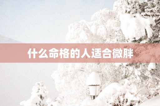 什么命格的人适合微胖