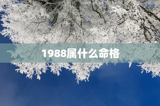 1988属什么命格